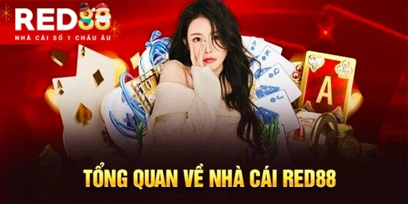 Nhà cái hướng đến mục tiêu trở thành địa chỉ tham gia game số 1 thị trường Nhà cái hướng đến mục tiêu trở thành địa chỉ tham gia game số 1 thị trường